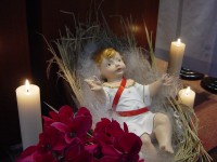 DSC00249 DSC00249